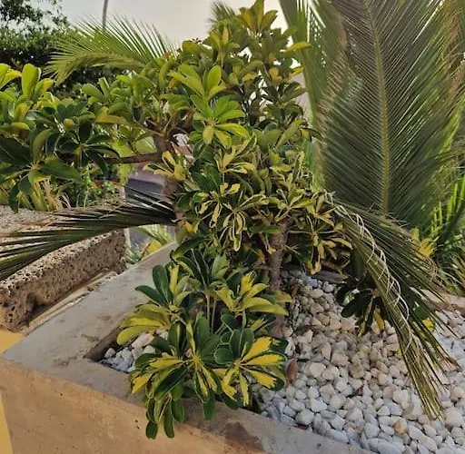 Appartement Golden Sunset Ocean View Costa Adeje (Tenerife)