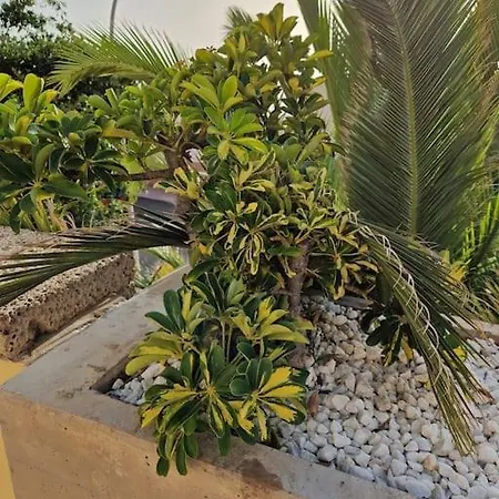 Appartement Golden Sunset Ocean View Costa Adeje (Tenerife)