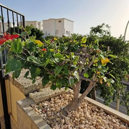 Apartamento Golden Sunset Ocean View Costa Adeje (Tenerife)