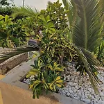 Appartement Golden Sunset Ocean View Costa Adeje (Tenerife)