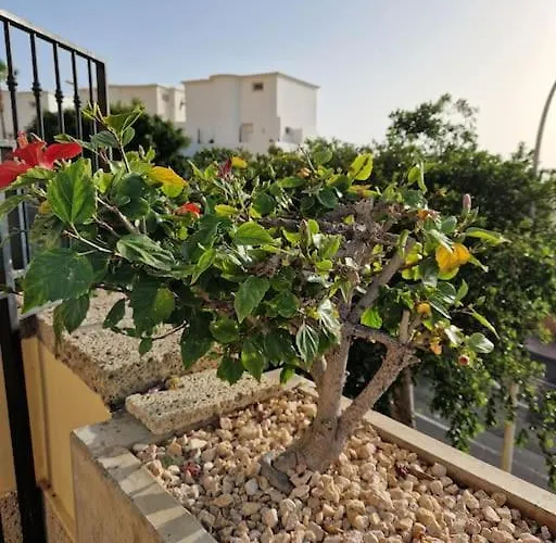 Apartament Golden Sunset Ocean View Costa Adeje (Tenerife)